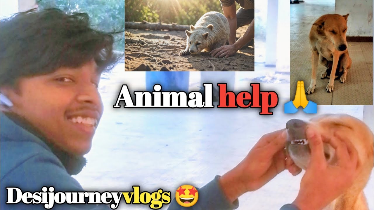 ANIMALS Need Our Help Now 🙏🙏 
