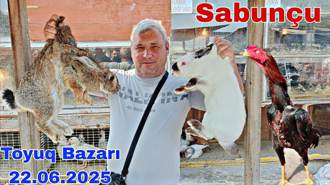 Sabunçu Toyuq Bazarı 22 iyun 2025 @mubarizemintv2271