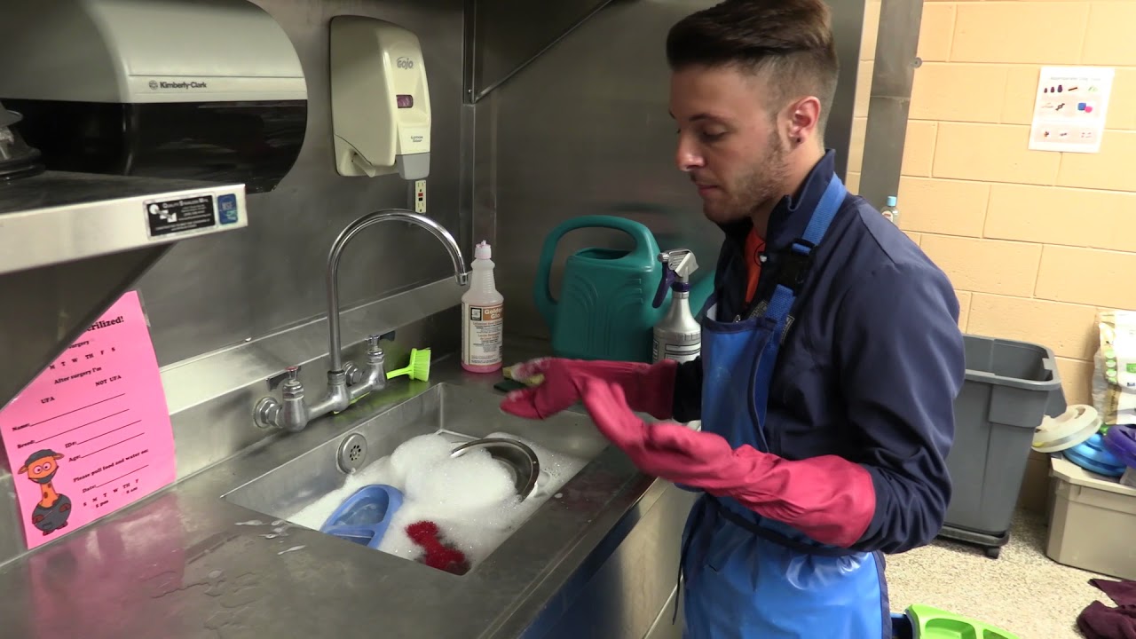 Behind The Kennels: Frank Micielli