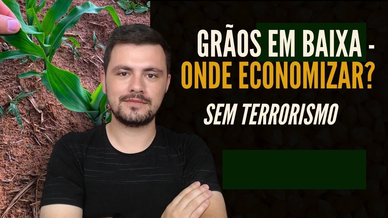 Onde economizar com os GRÃOS EM BAIXA - Sem terrorismo