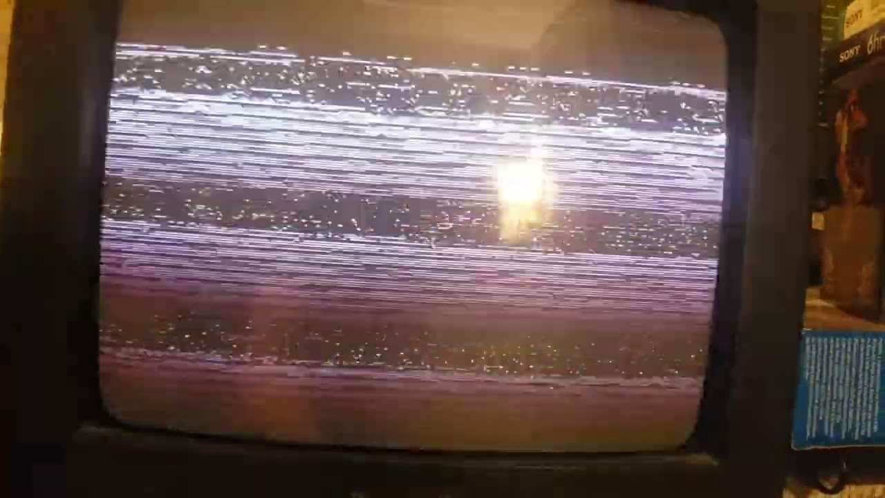 What happens when you put a PAL VHS in an NTSC vcr?