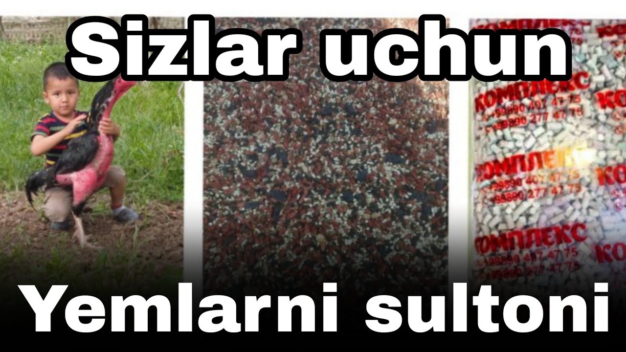 Parvozlar uchun sara maslahatlar