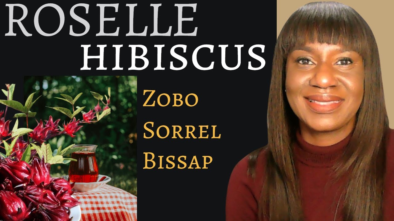 Roselle Hibiscus: What You Must Know About Its Benefits and Danger.