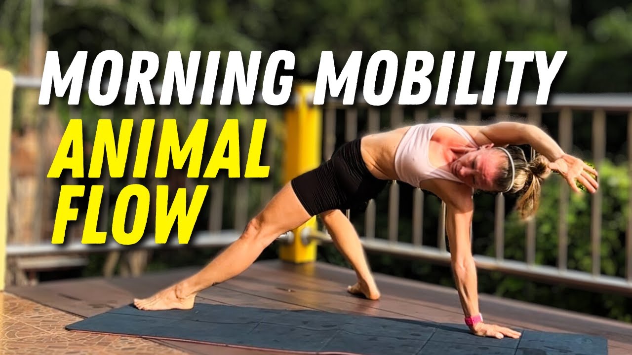 20 min Morning Mobility Animal Flow / Primal Movement Routine for MOBILITY & LONGEVITY