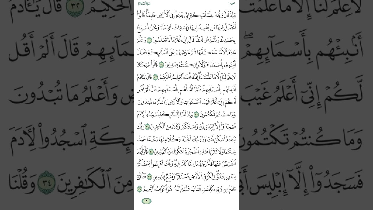 سورة البقرة الصفحة ٦