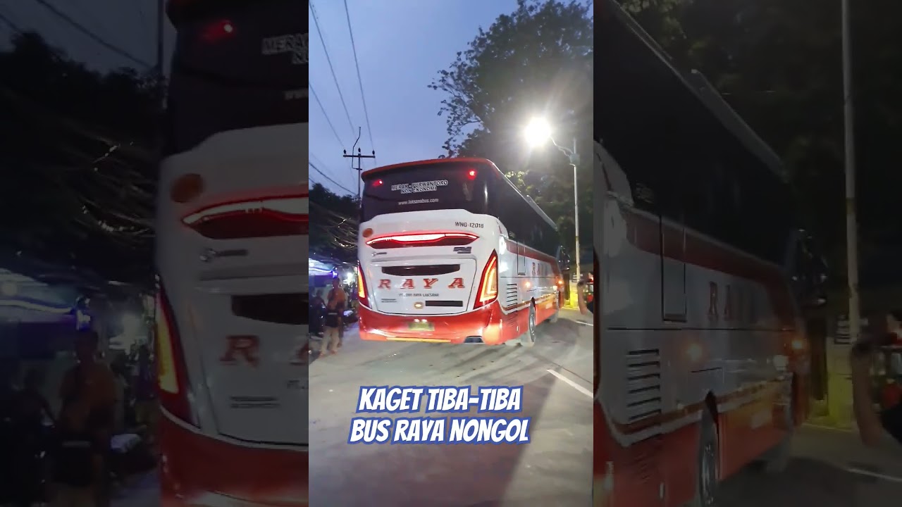 KAGET TIBA-TIBA BUS RAYA NONGOL #automobile #bus #basuri #jetbus #busmania #publictransport #raya