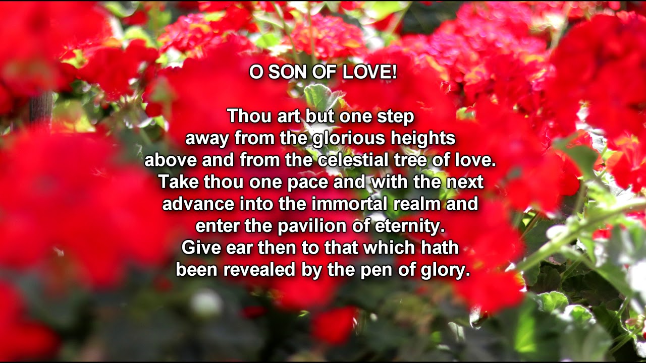Jamil T - O Son Of Love