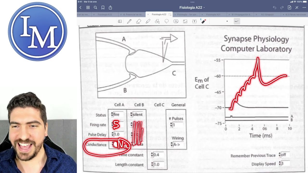 Fisiología clase 8.2 | Potenciales Electrotónicos