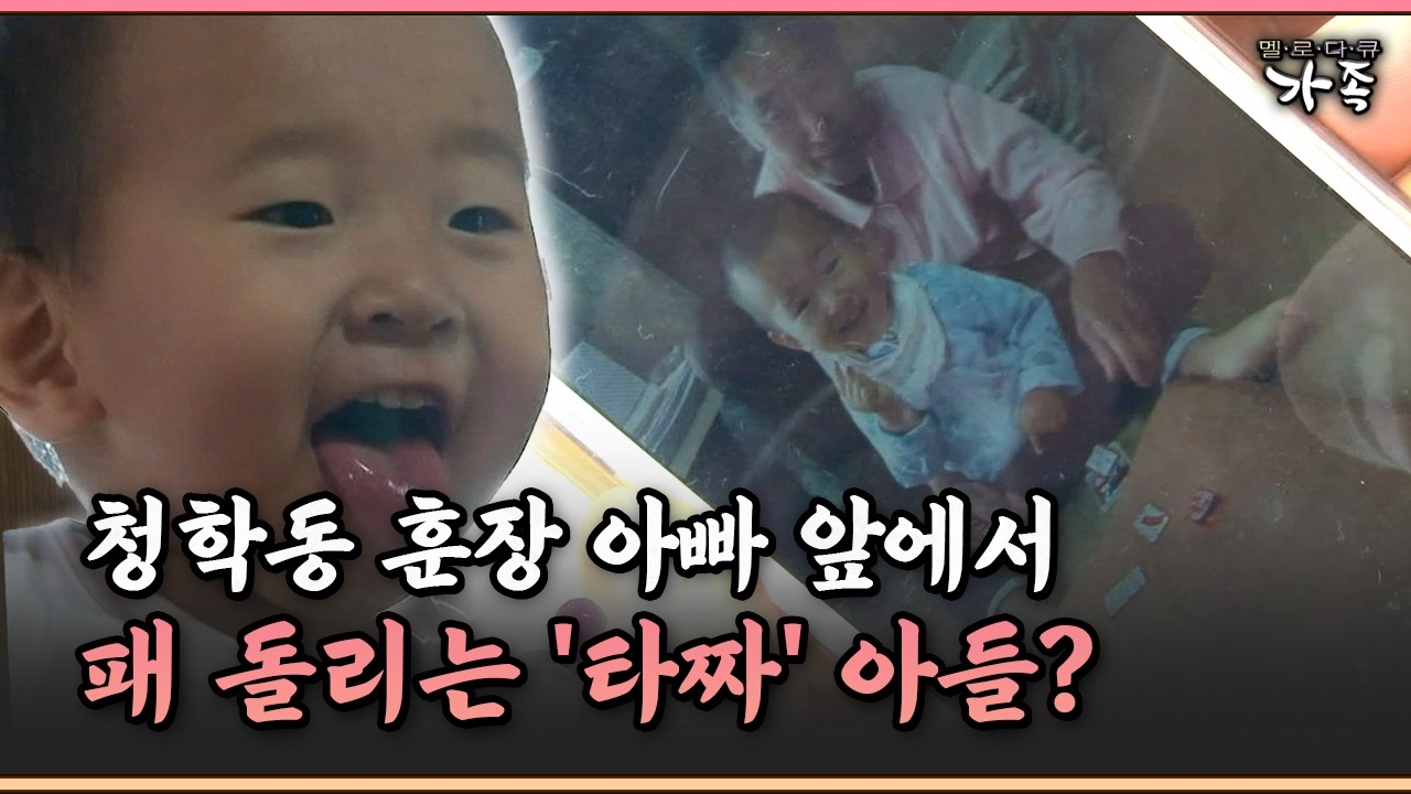 [멜로다큐 ‘가족’ 338-3] 청학동 훈장 아빠 앞에서 패 돌리는 '타짜' 아들?