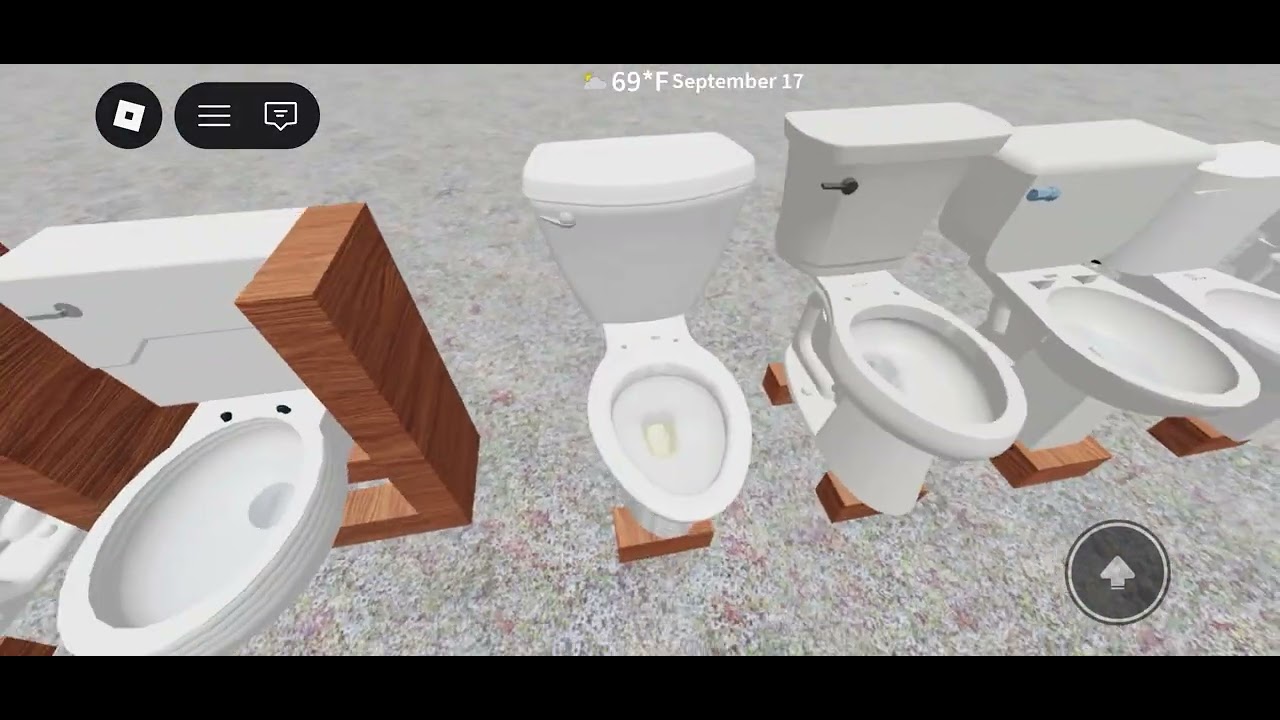 Flushing Toilets in the winter 