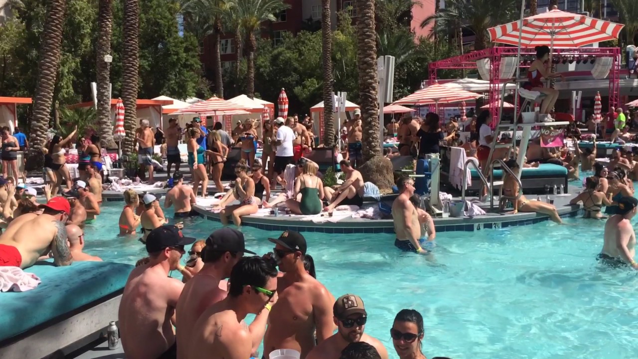 Flamingo Pool Las Vegas