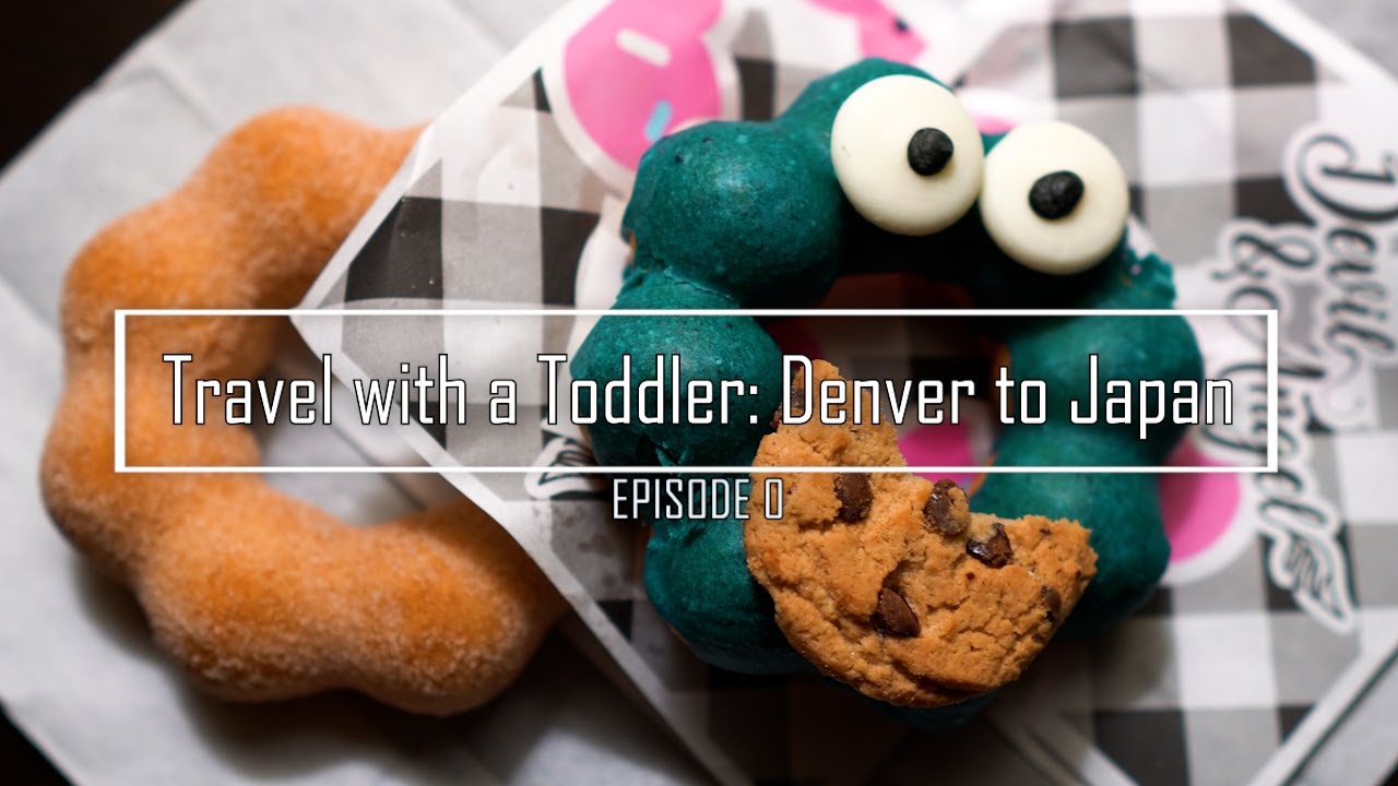Travel with a toddler: Denver to Japan |１歳児を連れて日本へ一時帰国のはずが、、｜1600kmドライブ｜領事館でパスポート受取り【Vlog#26】