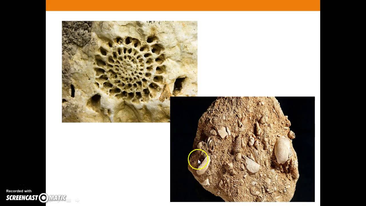 Le rocce: classificazione e caratteristiche