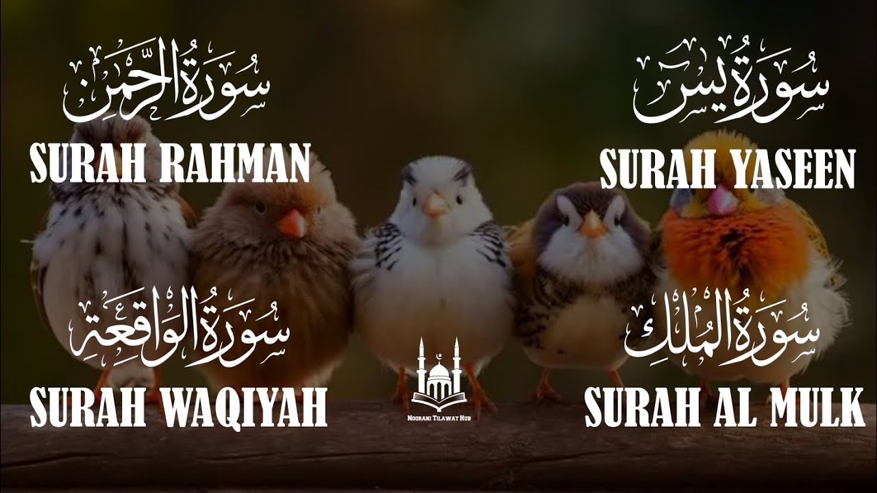 Ghar se Har Pareshani aur Be-barkati Khatam Karei Surah Yaseen,Rahman,Waqiah,Mulk NOORANITILAWATHUB 