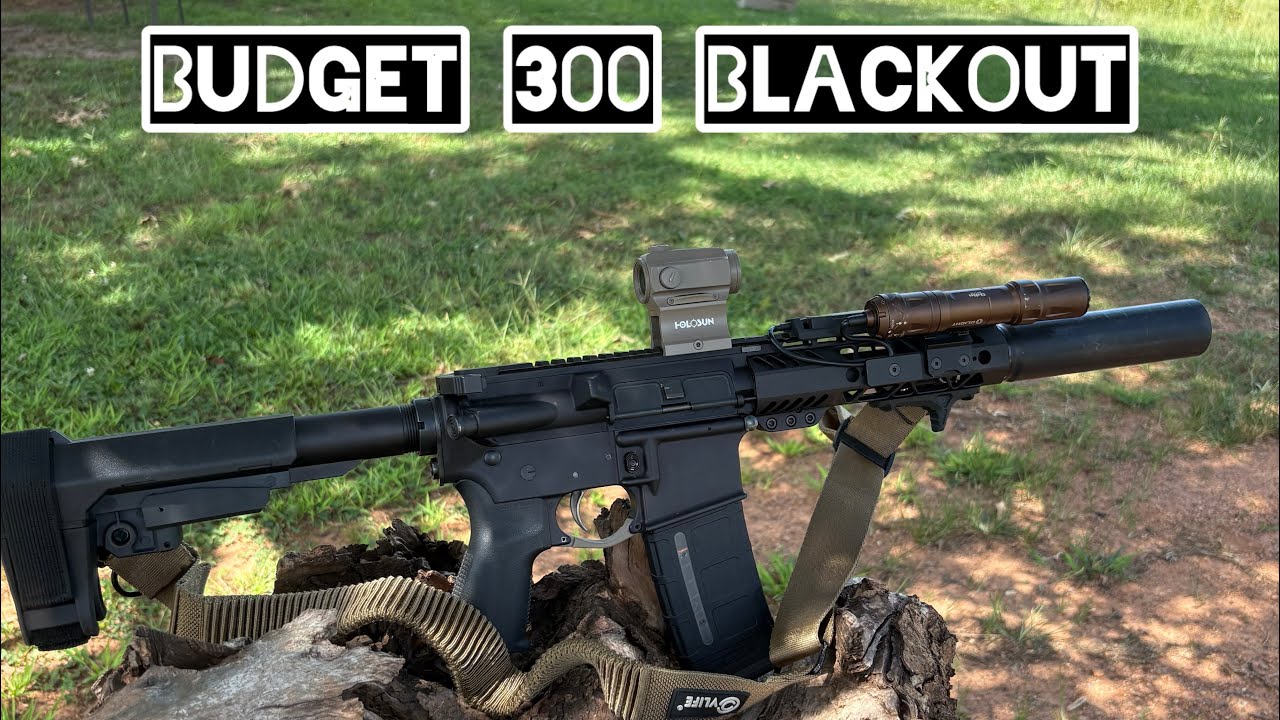I Built a Budget 300 Blackout AR
