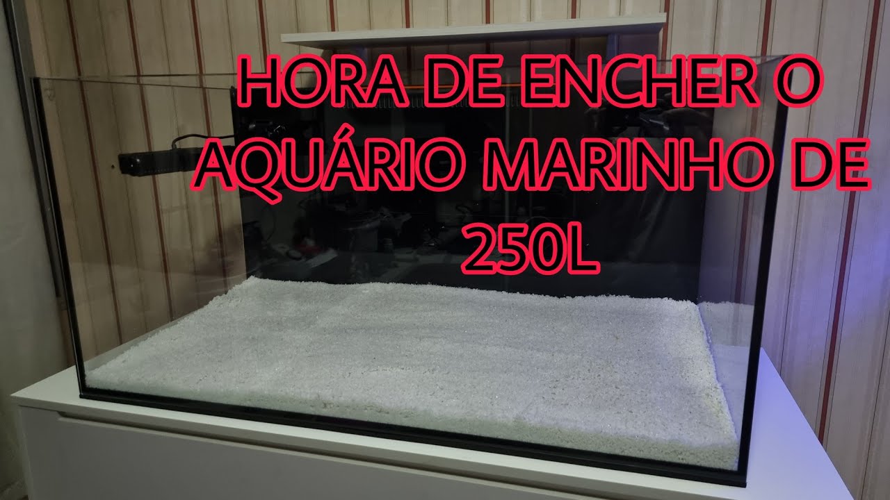 Aquário Marinho de 250L - Substrato, rochas, água e sal