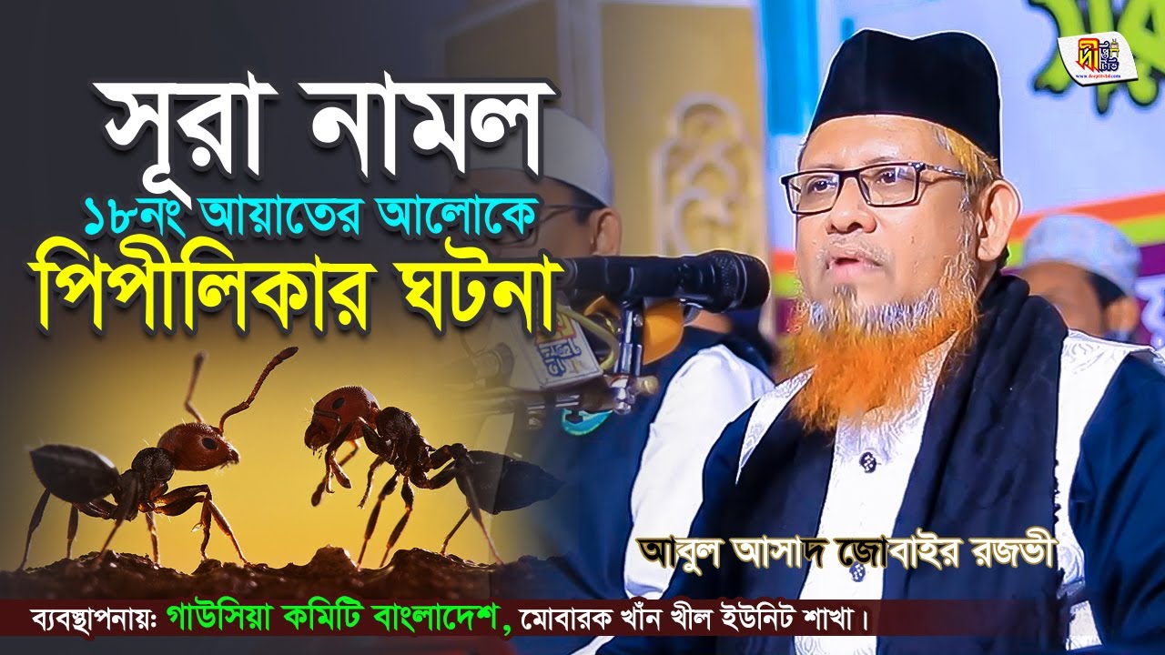 সূরা নামল ১৮নং আয়াতের আলোকে পিপীলিকার ঘটনা | আবুল আসাদ জোবাইর রজভী | Abul Asad Jubair Rezvi Waz 2023