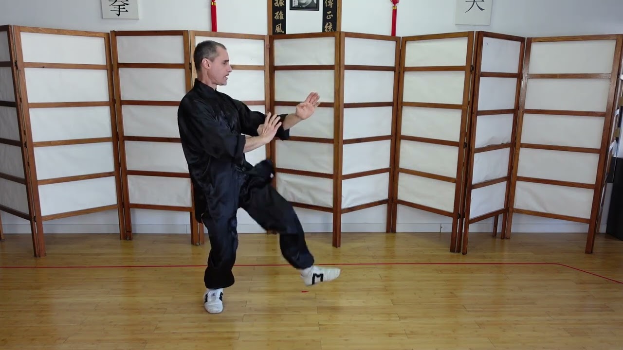 Wing Chun Kung Fu d&eacute;placements. Le&ccedil;on 2