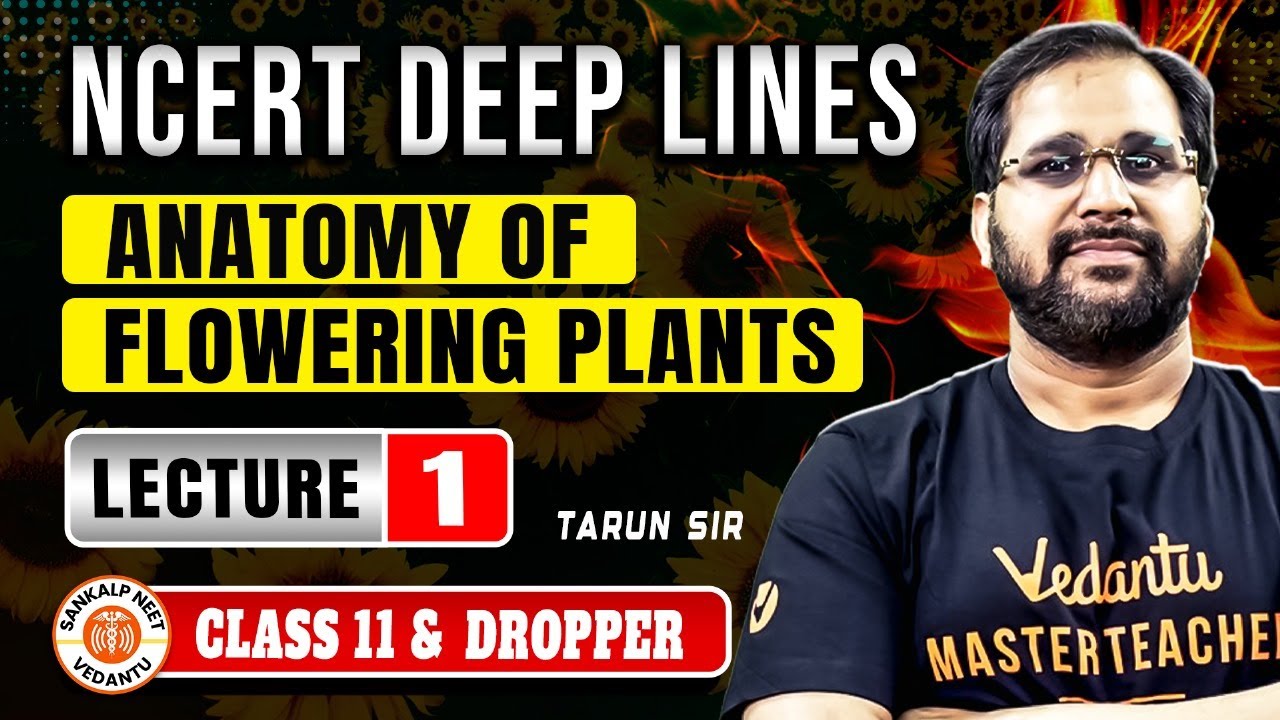 ANATOMY OF FLOWERING PLANTS CLASS 11 | NCERT DEEP LINES | COMPLETE NCERT FOR NEET 2025 BY TARUN SIR
