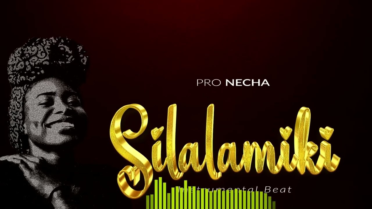 Prod necha_Silalamiki_Instrumental beat singeli