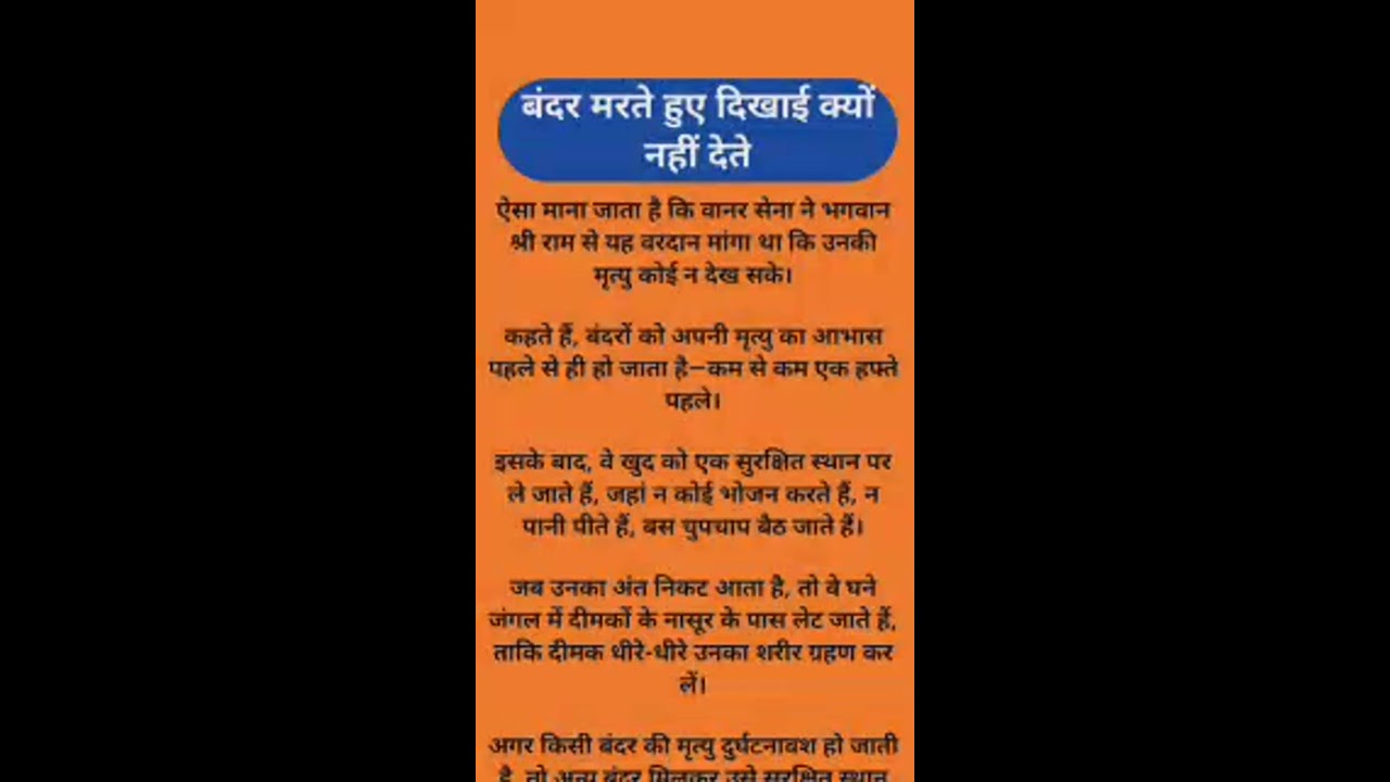 बंदर मरते हुए क्यों नहीं दिखाई देते आईए जानते हैं 👇
