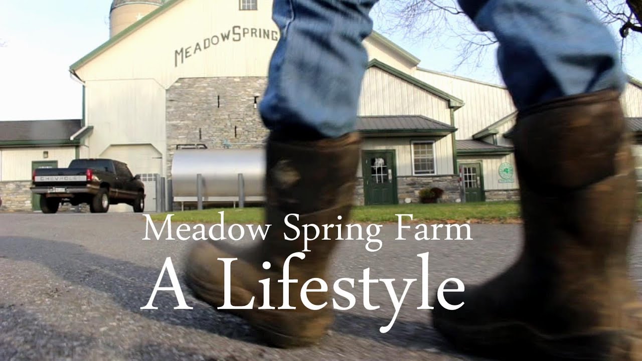 Meadow Spring Farm: A Lifestyle
