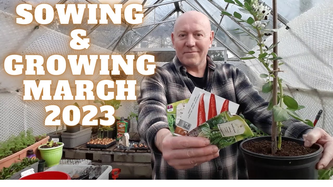 Sowing & Growing March 2023 [Gardening Allotment UK] [Grow Vegetables At Home ]