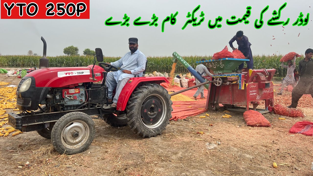 Tradimpex agro Yto 250p mini tractor performance | new tractor in Pakistan