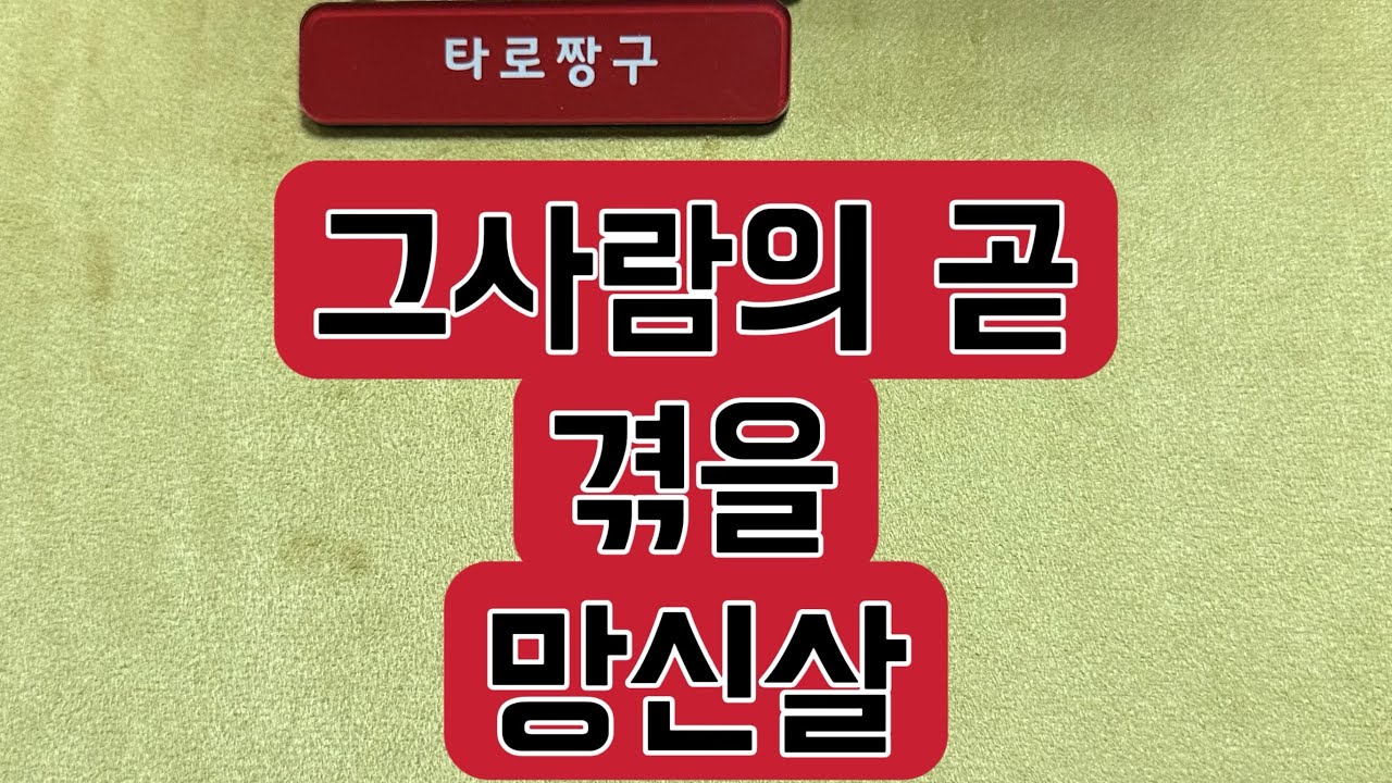 [타로짱구] 희망고문 없는 현실직시 타로