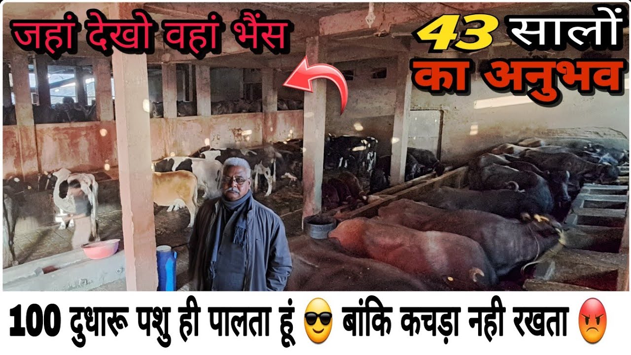 75 लाख अर्जित किया Dairy Business से - Vijay Sahu Dairy Farm Satna Mp