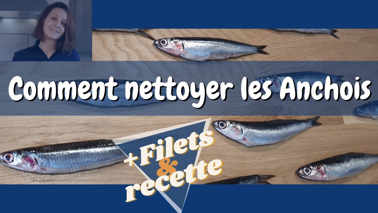 Comment nettoyer les Anchois + filets + recette !!! + Bonus Bêtisier