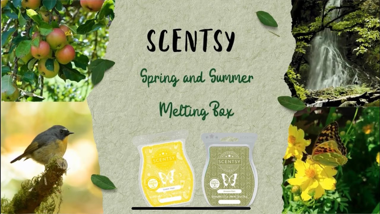Scentsy Spring and Summer Melting Box