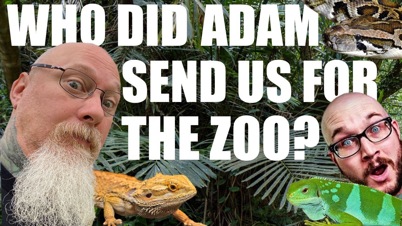 Update on the Ream Natura Zoo and a rather special unboxing from Adam  @WickensWickedReptiles