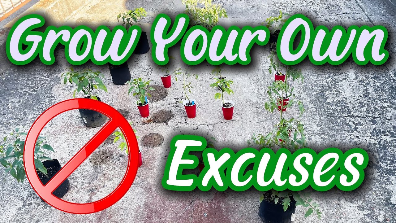 Are you ACTUALLY independent? STOP MAKING EXCUSES!