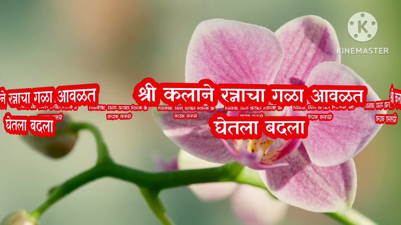 पैशाचं पाकीट इंदूच्या हातात लागतात श्री कलाने आवळला रत्नाचा गळा|indrayani today episode