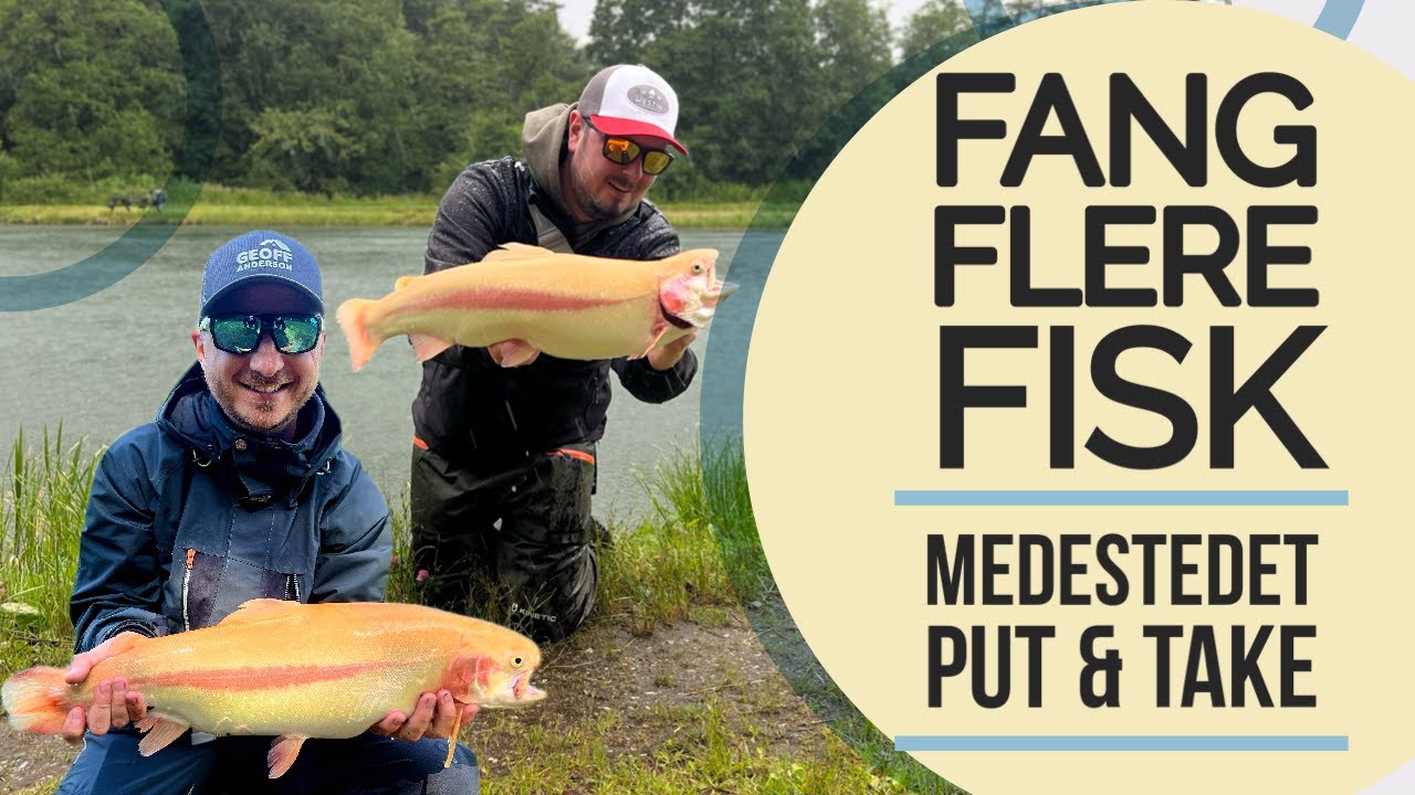 Medestedet - Fang flere fisk i søen, her er vores tips til at fiske i Medestedet Put and Take