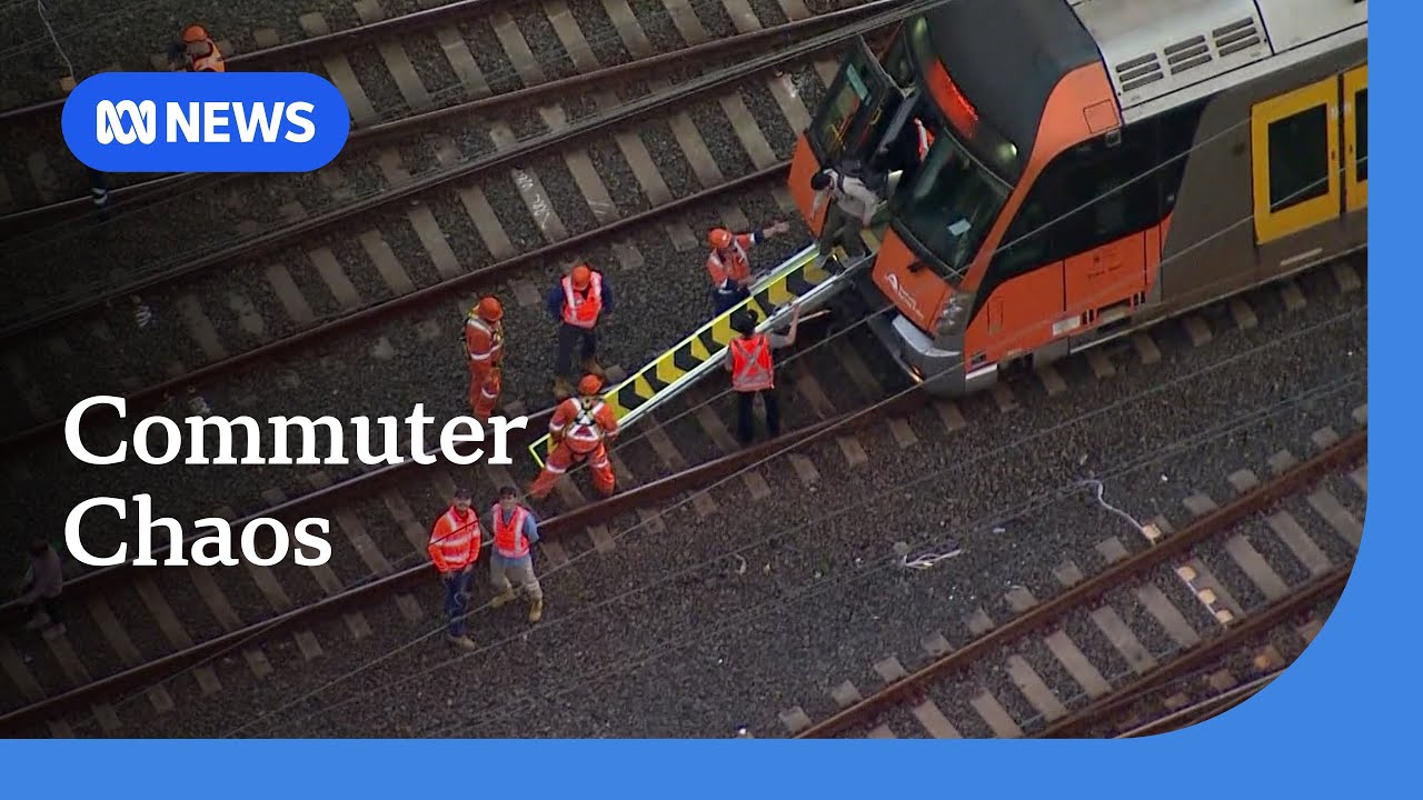 Sydney commuter chaos after power cable falls onto train | ABC NEWS