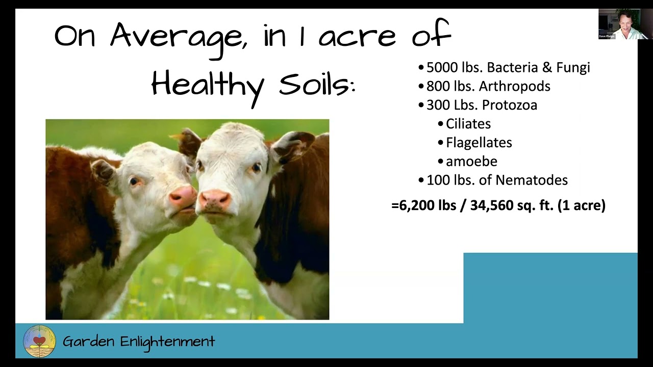 Native Gardening 101: Soils