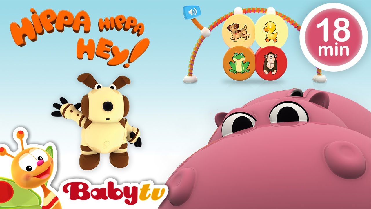 Hippa Hippa Hey 🪀  Sons d'animaux et jeux d'association pour enfants | dessins animés@BabyTVFR