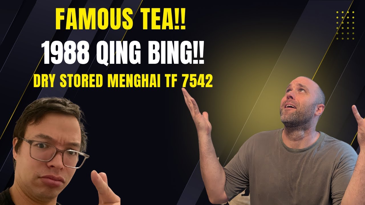 1988 Qing Bing Menghai Tea Factory 7542! Famous Tea! [Episode 569]