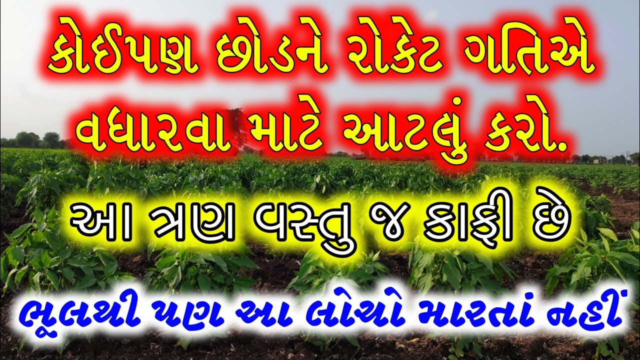 કોઈપણ છોડને શરુવાતમાં વધારવા માટે આટલું કરો | kheti nu bhavishya | ખેતી નું ભવિષ્ય