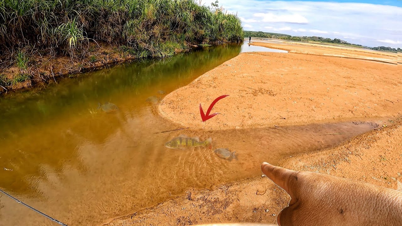 OS PEIXES ESTÃO ENCURRALADOS, o Rio pede SOCORRO, pescaria com acampamento
