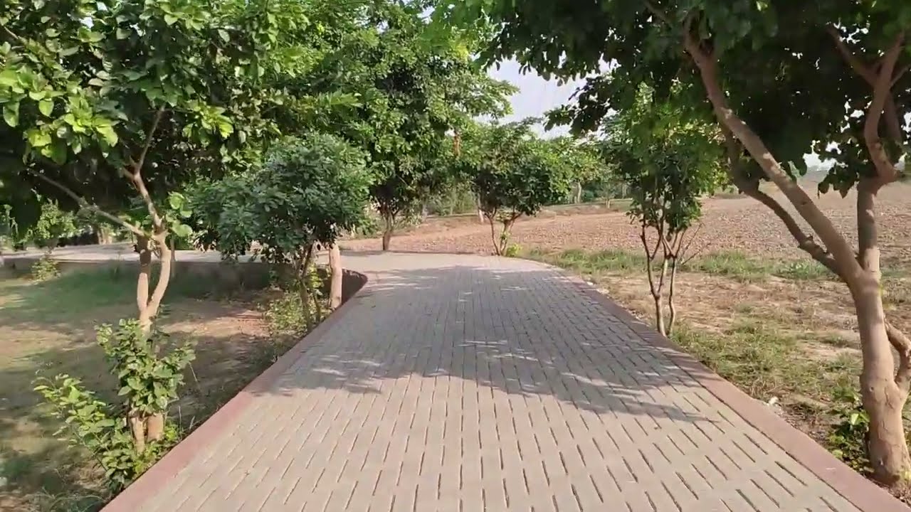 Redmi Note 10 Camera Stabilization Test (1080p 60fps) #redmi #note10 #techreviews