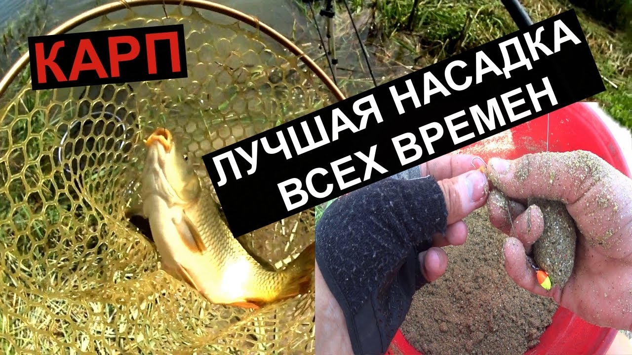 ЛУЧШАЯ НАСАДА ВСЕХ ВРЕМЁН на Карпа.. Как ловить, на что клюет. Ловля карпа