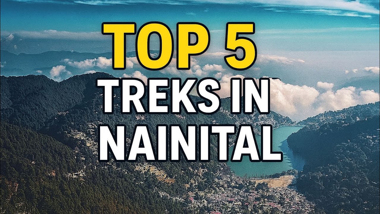 Top 5 Treks in Nainital |Cheena Peak,Camels Back,TiffinTop,Sherwood Cliffs,SnowView |Wandering Curls