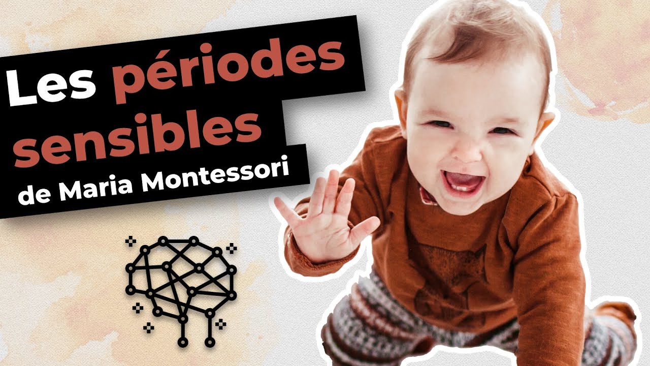 MONTESSORI à la maison : les périodes sensibles