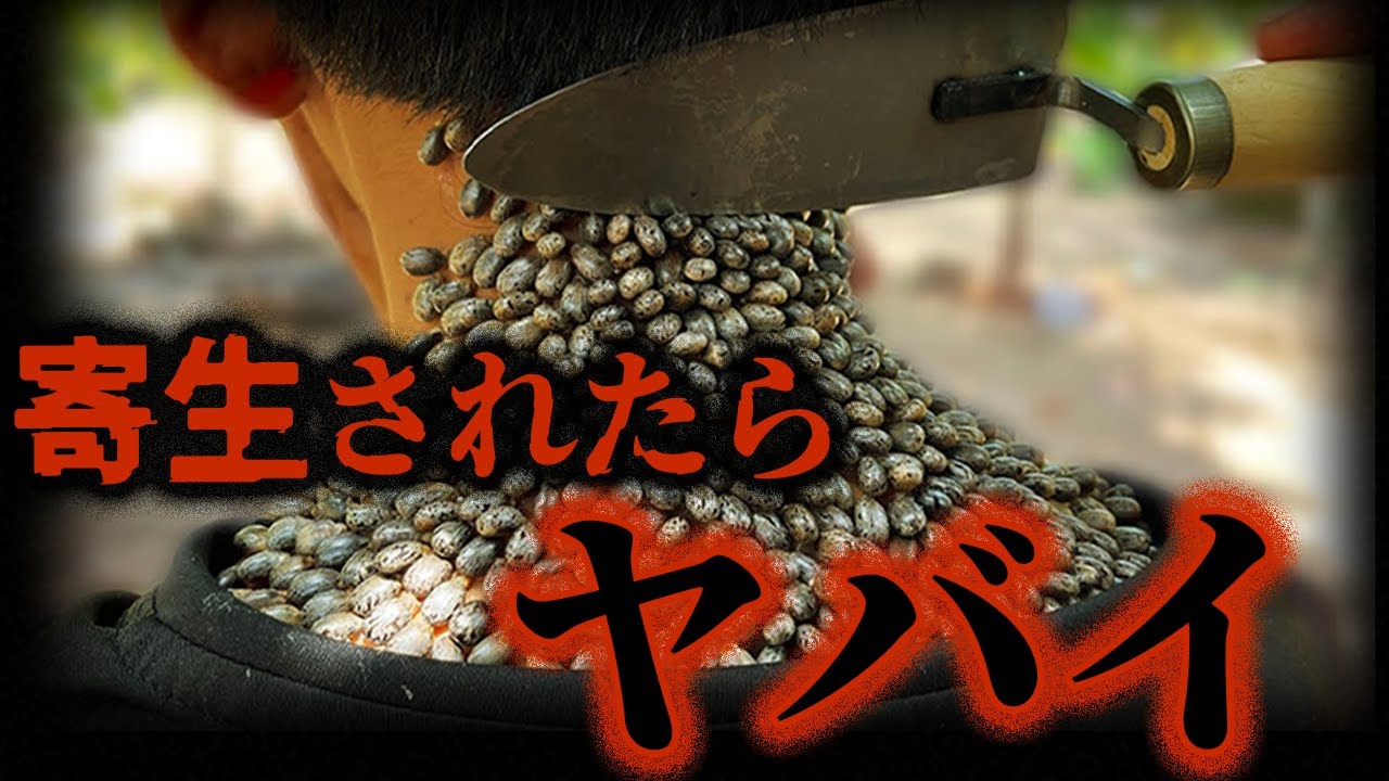 【ゆっくり解説】地球で最も恐ろしい寄生虫１０選