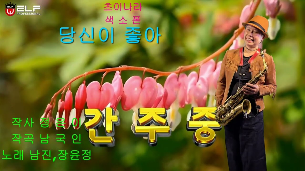 [색소폰연주] 당신이좋아ㅣ장윤정 ㅣ남진 ㅣSp
