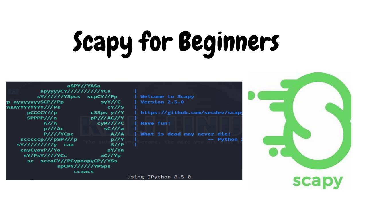 Scapy для начинающих | Как создать пакет с помощью Scapy