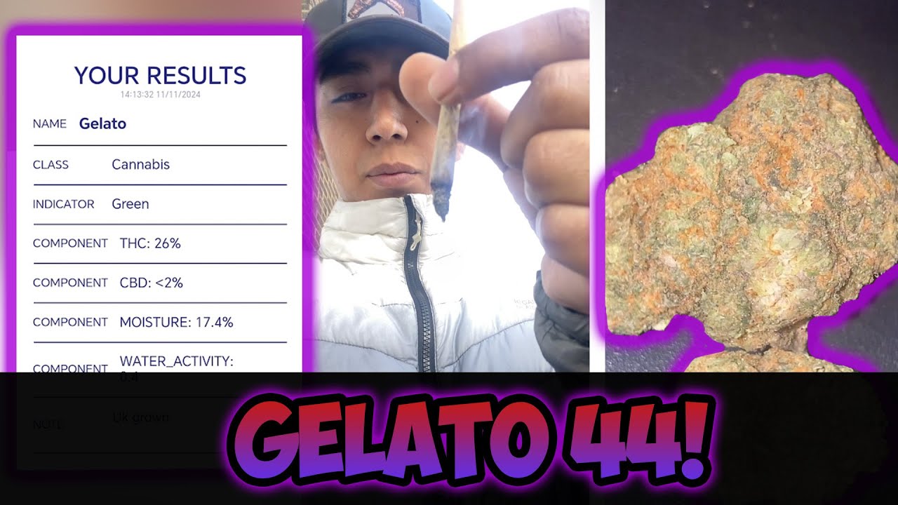 Gelato 44 (UK) Review #146